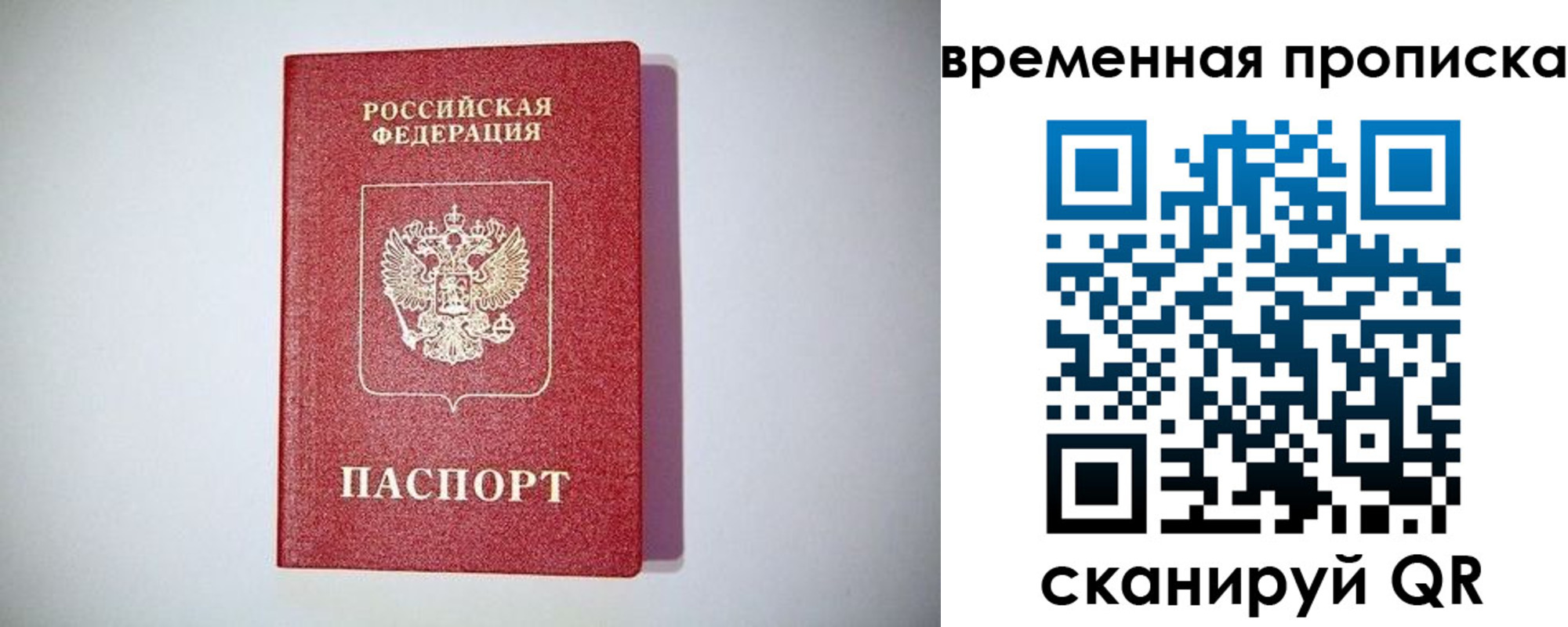 временная регистрация гарантия в Владимире